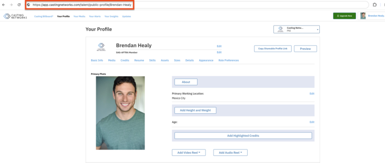 screenshot of a casting networks profile with a highlighted custom profile link.